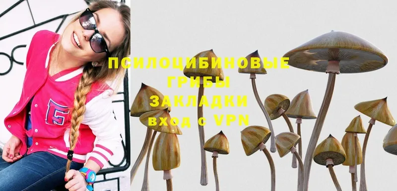 Галлюциногенные грибы Magic Shrooms  что такое наркотик  даркнет формула  Балтийск 